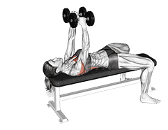 Dumbbells Straight Arm Pullover demonstration