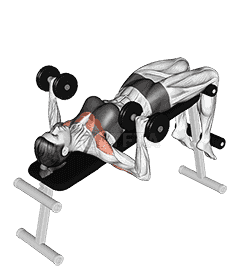 Dumbbell Decline Bench Press demonstration