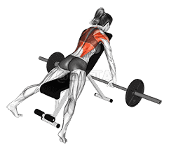 Barbell Incline Row demonstration