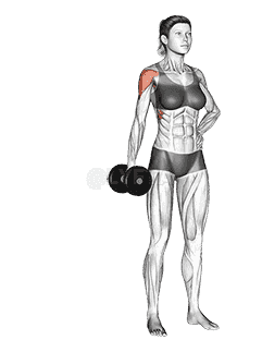 Dumbbell One Arm Lateral Raise demonstration