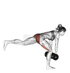 Dumbbell Single Leg Deadlift demonstration