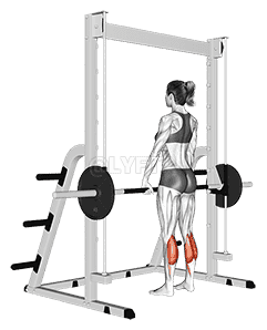 Smith Standing Leg Calf Raise demonstration