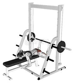 Smith Reverse Hyperextension demonstration