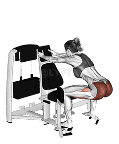 Lever Abduction Squat demonstration