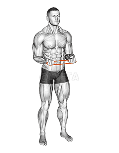 Resistance Band Pullapart demonstration