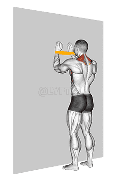 Resistance Band Spider Crawls demonstration