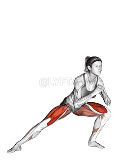 Side Lunge demonstration