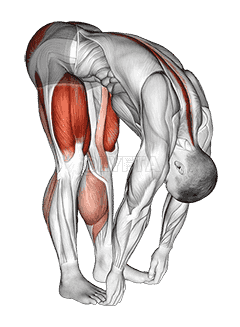 Squat mobility Complex demonstration