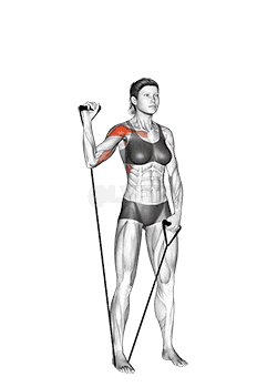 Band Single Arm Shoulder Press demonstration