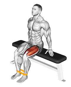 Resistance Band Leg Extension demonstration