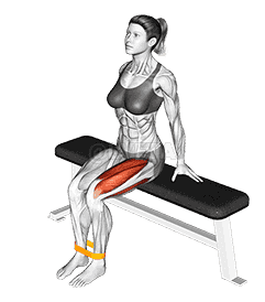 Resistance Band Leg Extension demonstration