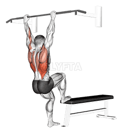Bench Pull-ups demonstration