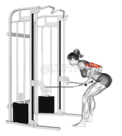 Cable Two Arm Tricep Kickback demonstration