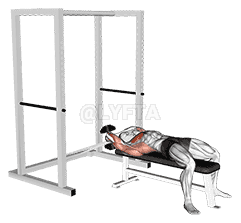 Dumbbell Straight Arm Pullover demonstration