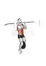 Weighted Muscle up demonstration