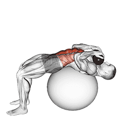 Weighted Stability Ball Crunch demonstration