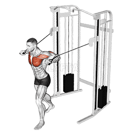 Cable Standing Chest Press demonstration