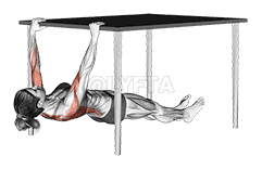 Inverted Row under Table demonstration