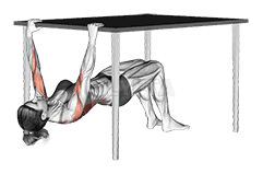 Inverted Row Bent Knee under Table demonstration