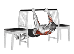 Inverted Row between Chairs demonstration