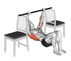 Inverted Row with Bent Knee between Chairs demonstration