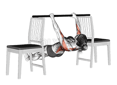 Inverted Row between Chairs demonstration