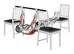 Elevanted Inverted Underhand Grip Row between 3 Chairs demonstration