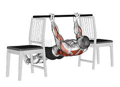Inverted Underhand Grip Row between Chairs demonstration