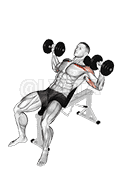 Dumbbell Incline Alternate Press demonstration