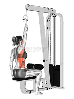 Cable One Arm Lat Pulldown demonstration