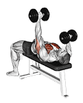 Dumbbell Alternate Bench Press demonstration