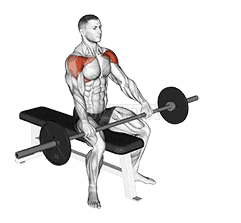 Barbell Seated Front Raise demonstration