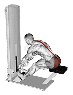 Lever Seated Good Morning demonstration