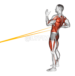 Resistance Band Squat with Single Arm Row demonstration