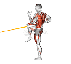 Resistance Band High Knee Lunge with Single Arm Row demonstration