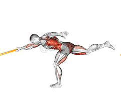 Resistance Band Single Stiff Leg Deadlift with Single Arm Row demonstration