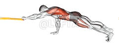 Resistance Band Front Plank with Single Arm Pulldown demonstration