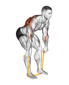 Resistance Band Bent Over Row demonstration