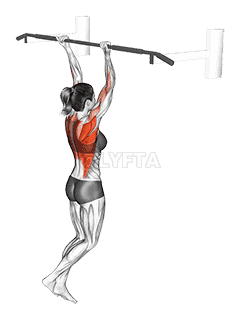 Reverse grip Pull-up demonstration