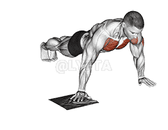 Side Push-up with Towel demonstration