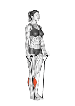 Band Two Legs Calf Raise - demonstration