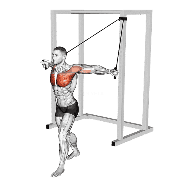 Band Alternate Low Chest Fly demonstration