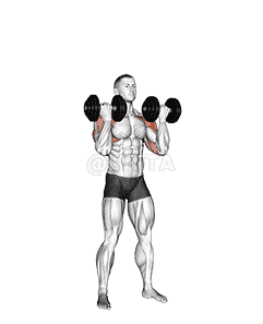 Dumbbell Standing Arnold Press demonstration