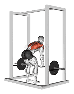 Barbell Deadstop Row with Rack demonstration