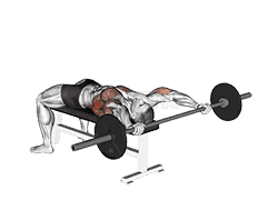 Barbell Wide Pullover demonstration