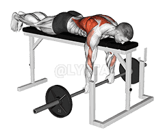 Barbell Lying Close-Grip Overhand Row on Rack demonstration