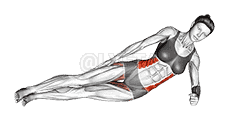 Side Bridge with Straight Legs demonstration