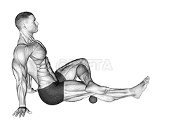 Roll Ball Popliteal demonstration