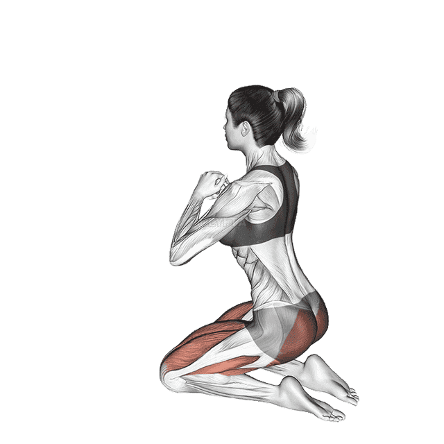 Kneeling Hip Thrust demonstration