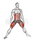 Plyo Side Lunge Stretch demonstration